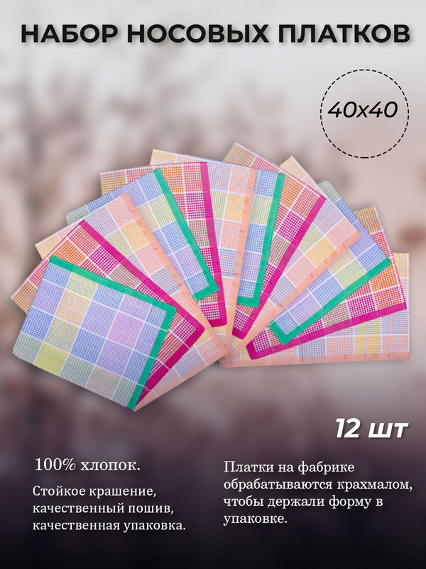 

Комплект носовых платков мужских Etteggy 45430(12) розовый/оранжевый/зеленый 40х40 см, Разноцветный, 45430(12)