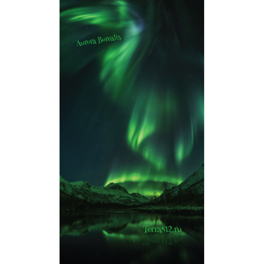 фото Бандана-труба терра северное сияние / aurora borealis зелёная terra