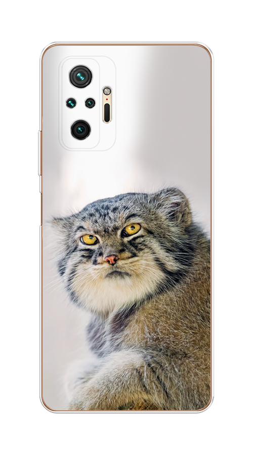 

Чехол на Redmi Note 10 Pro "Кот манул 1", Серый;белый;желтый, 310050-1