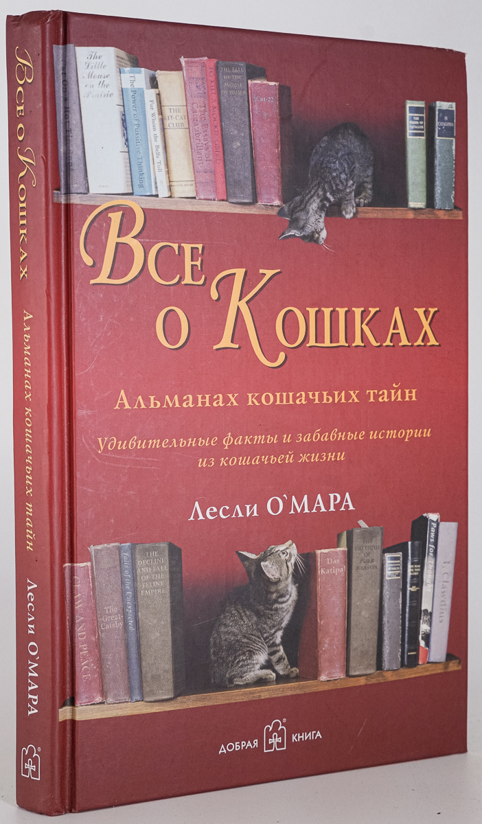 фото Книга все о кошках добрая книга