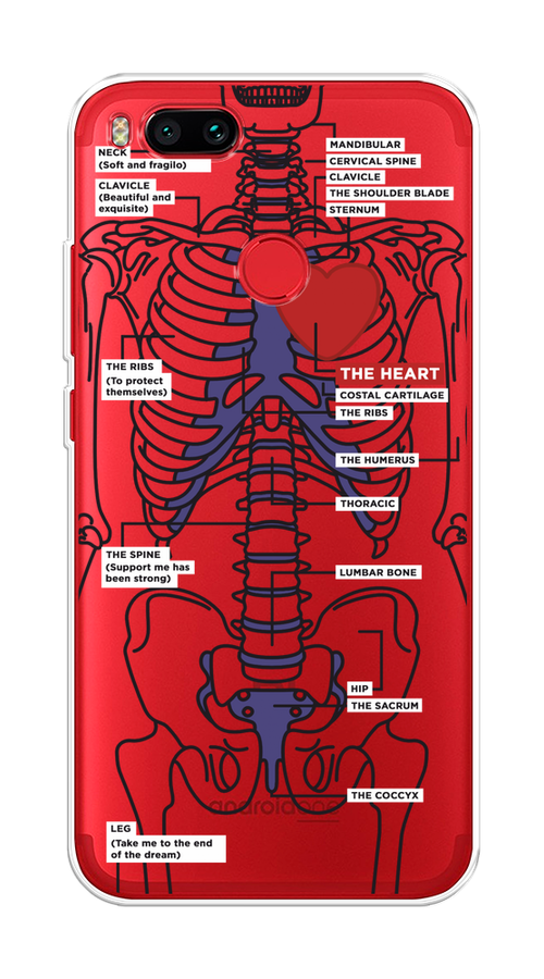 

Чехол на Xiaomi Mi A1/5X "Скелет человека", Прозрачный;синий;красный, 32350-1