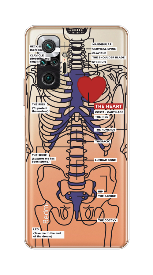 

Чехол на Redmi Note 10 Pro "Скелет человека", Прозрачный;синий;красный, 310050-1