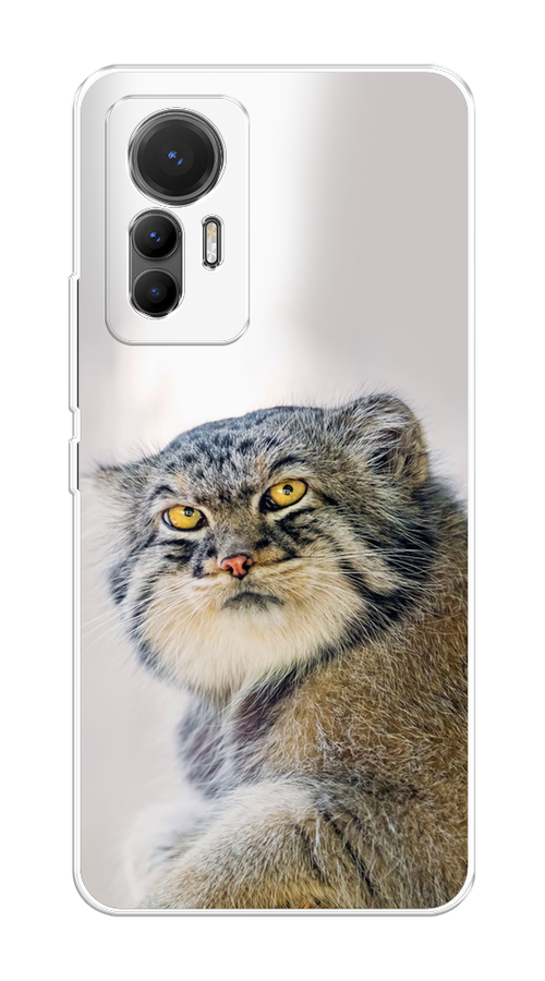 

Чехол на Xiaomi 12 Lite "Кот манул 1", Серый;белый;желтый, 315050-1