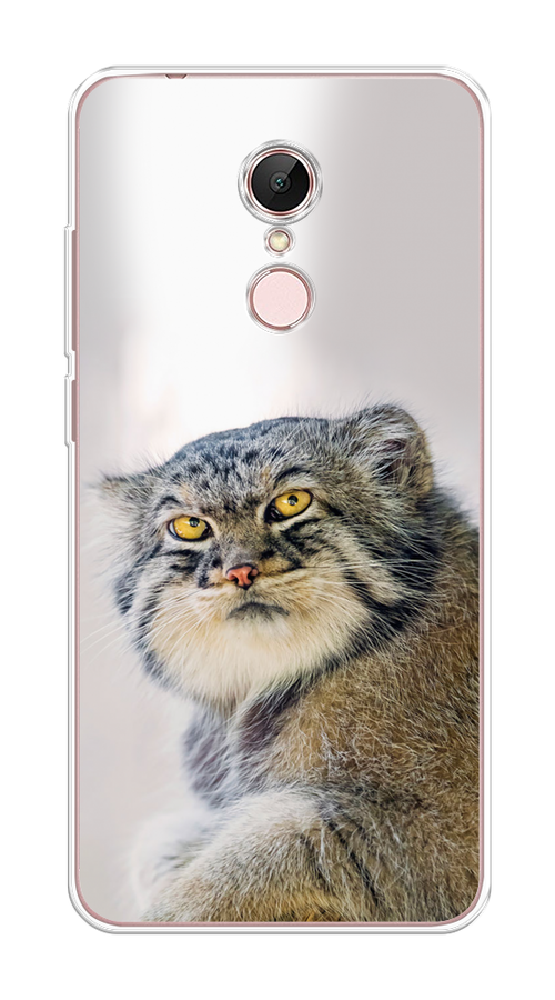 

Чехол на Xiaomi Redmi 5 "Кот манул 1", Серый;белый;желтый, 33050-1