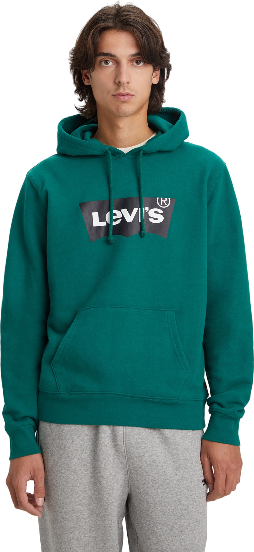 

Худи мужское Levi's STANDARD GRAPHIC HOODIE BW HOODIE зеленое S, Зеленый, STANDARD GRAPHIC HOODIE BW HOODIE