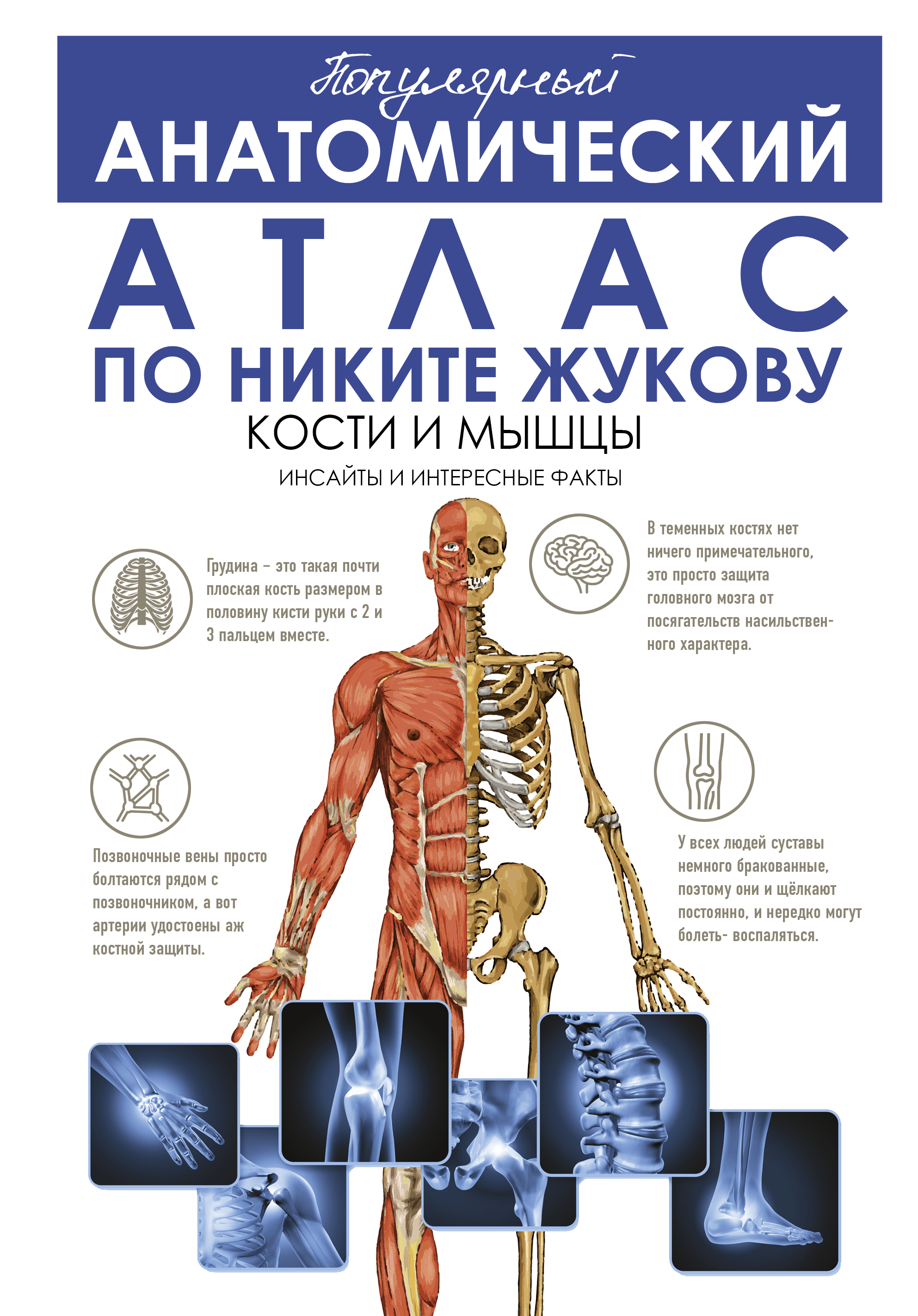 фото Книга популярный анатомический атлас по никите жукову: кости и мышцы. аст