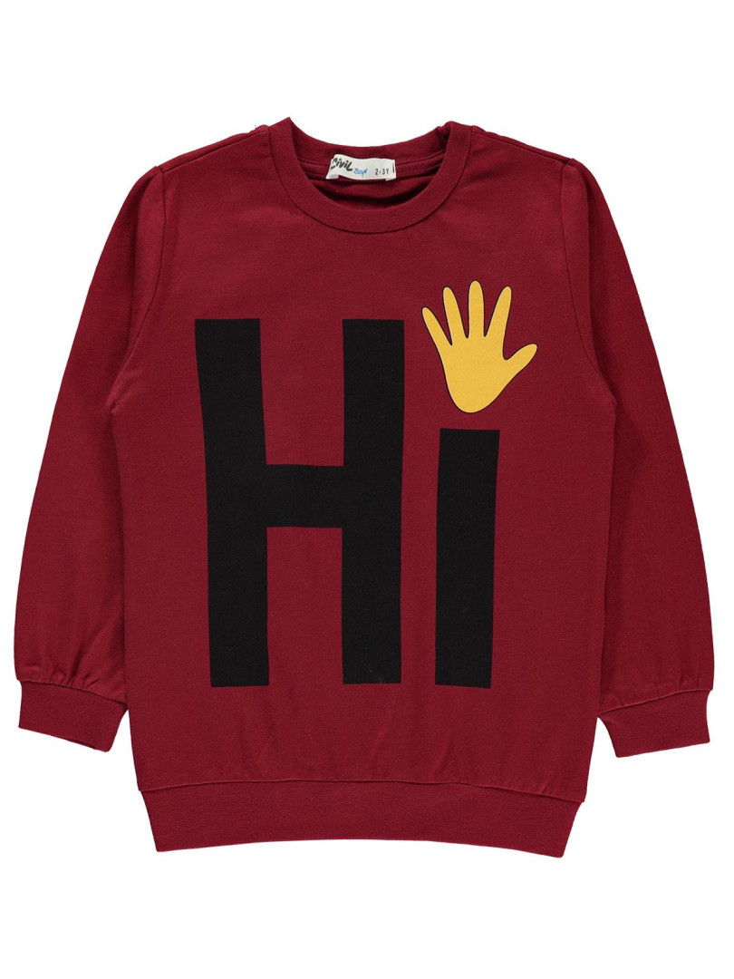 

Свитшот Civil Boys 19E734566K11-1 бордовый 24-36 мес (доставка из-за рубежа), 19E734566K11-1