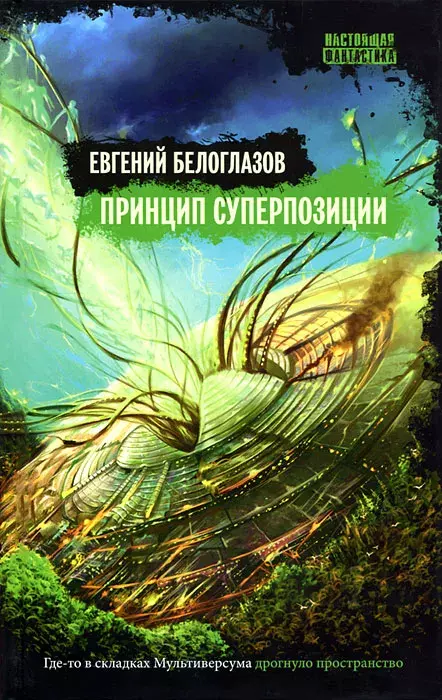

Книга Принцип суперпозиции
