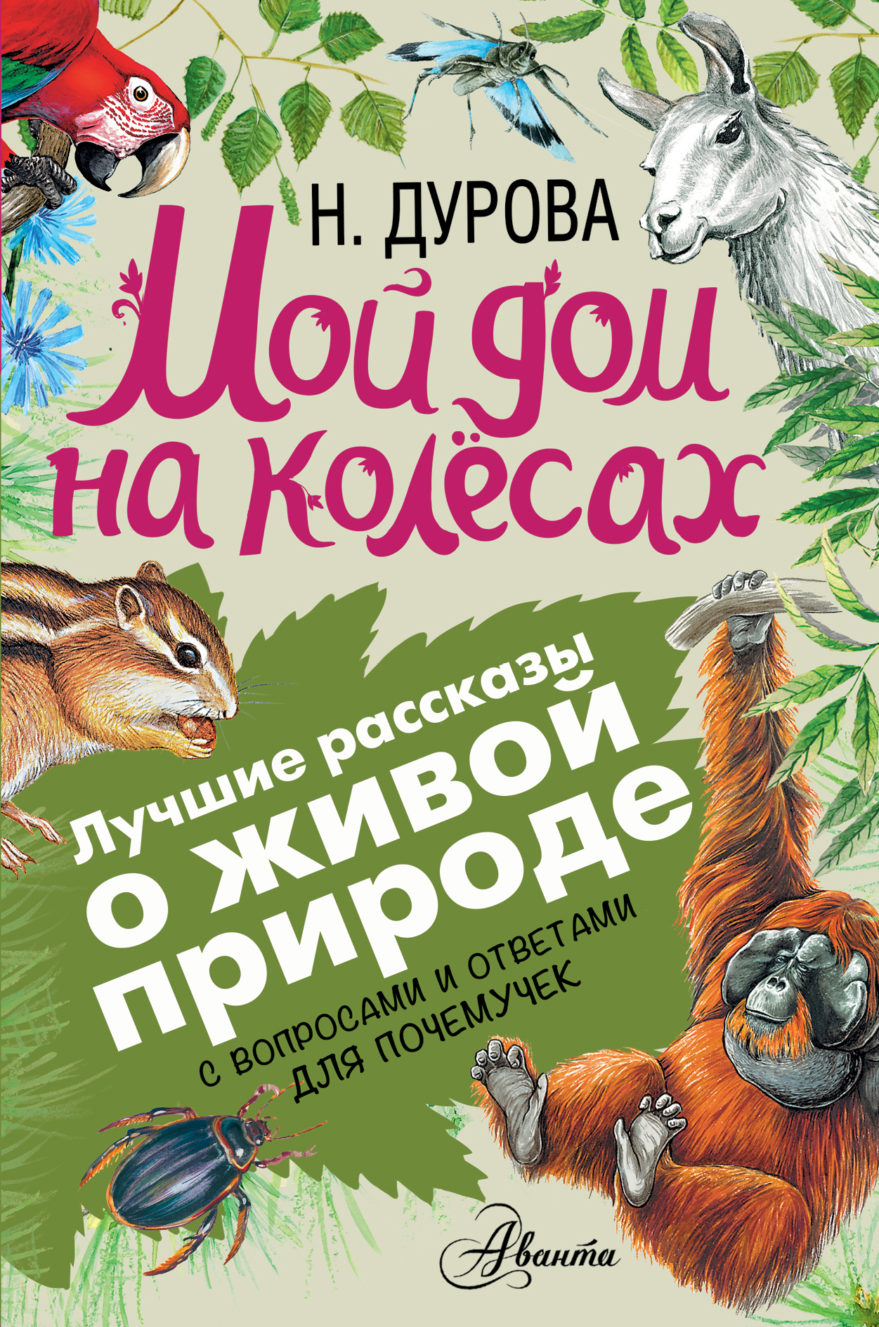 

Мой дом на колёсах