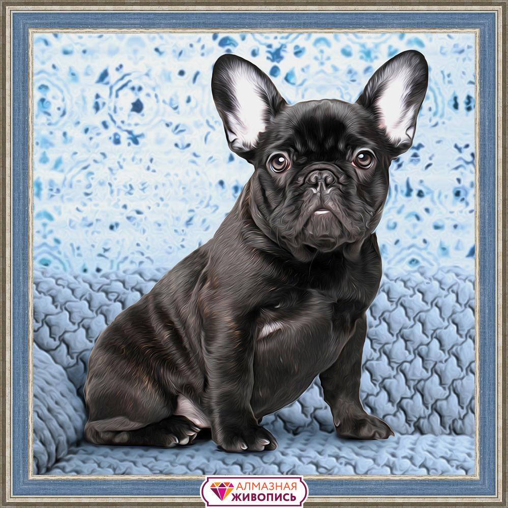

Картина стразами "Бульдог" (АЖ-1459)