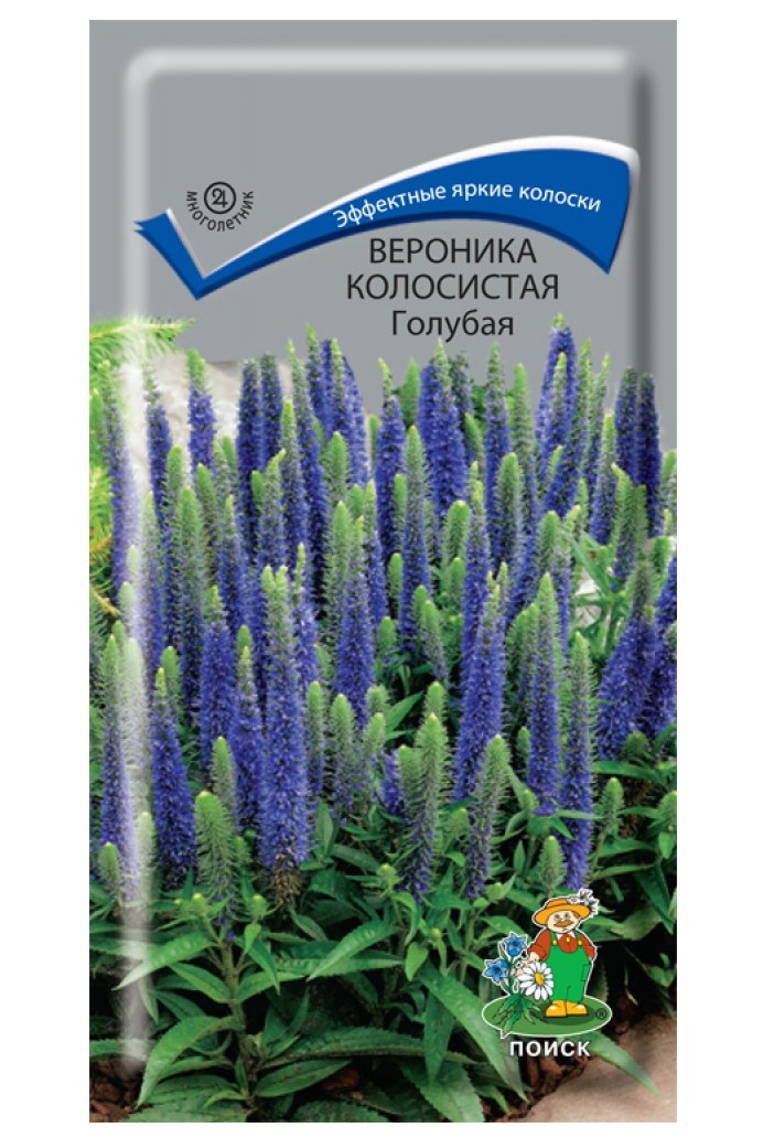 

Семена вероника Поиск Голубая 211145 1 уп.