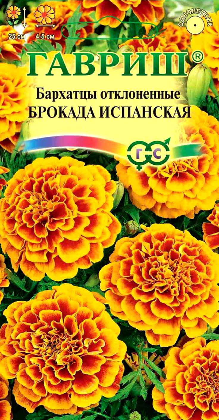 Каталог Семян Цветов Фото