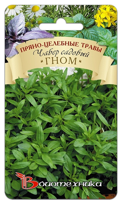 

Семена Чабер садовый Гном, 0,5 г Биотехника