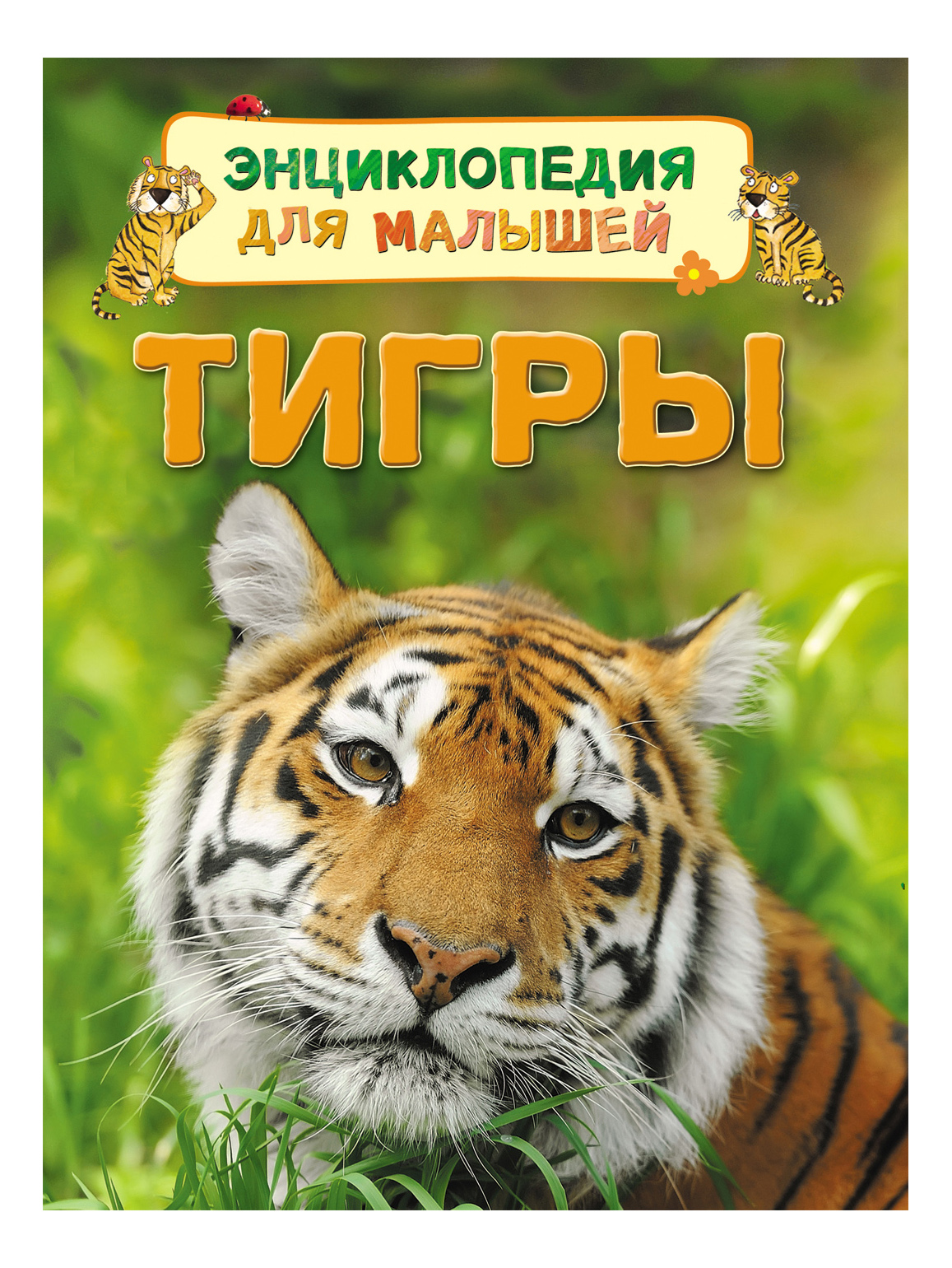 

Тигры. Энциклопедия для Малышей. Джеймс Маклейн, Тигры