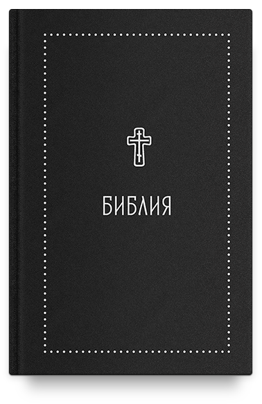 фото Книга библия. книги священного писания ветхого и нового завета. серебряная серия никея