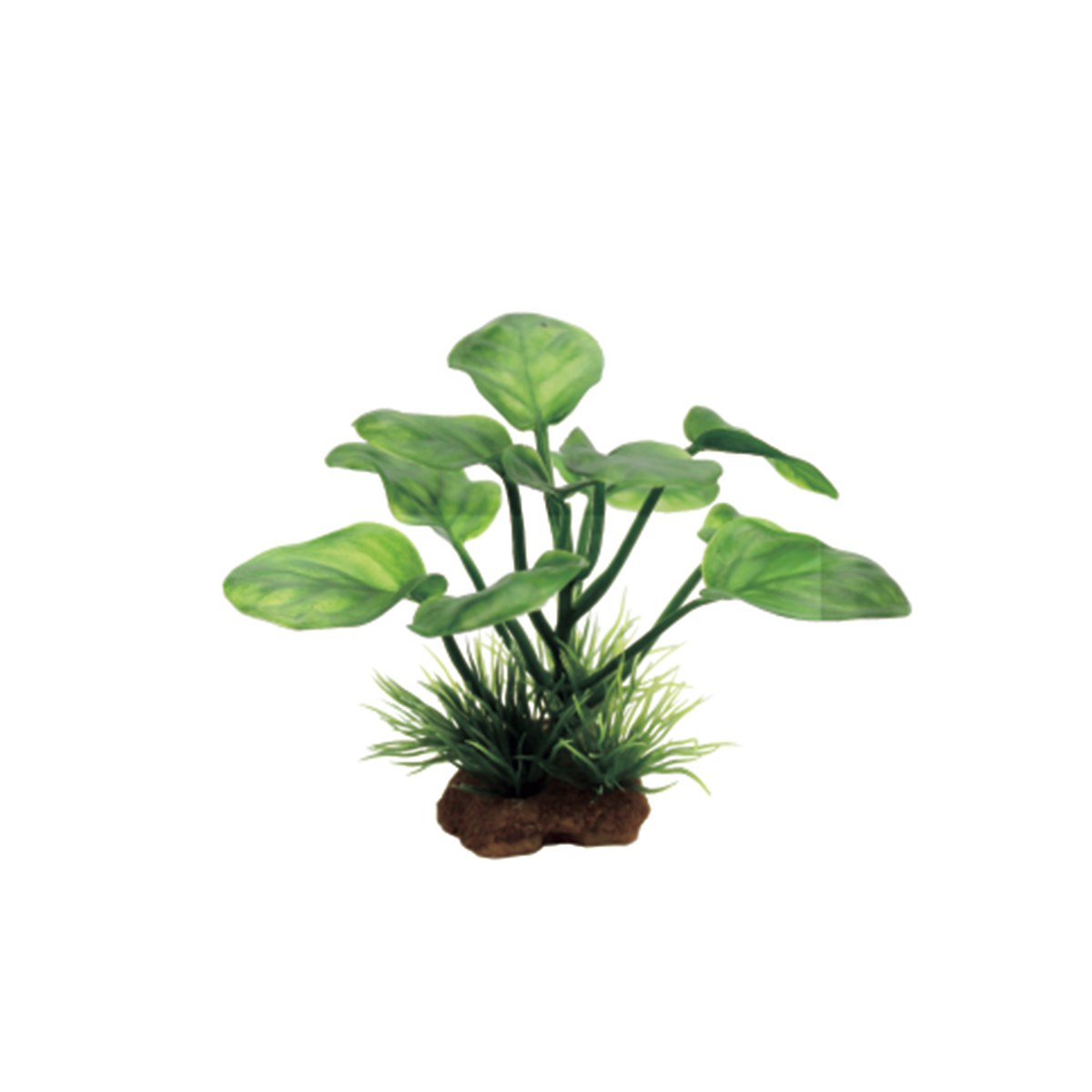 

Набор искусственных растений для аквариума ArtUniq Anubias Set, пластик, 6 шт, 10 см, Anubias Set 6x10