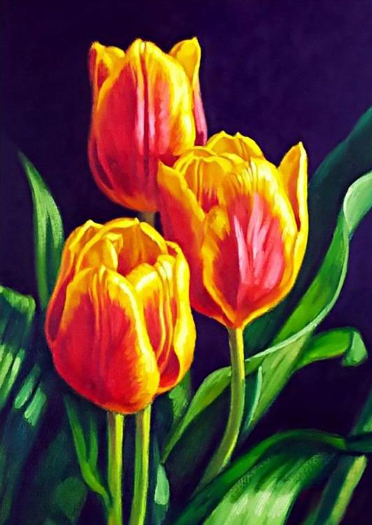 

Алмазная вышивка Гранни Тюльпанов цвет, 27x38 см, Тюльпанов цвет