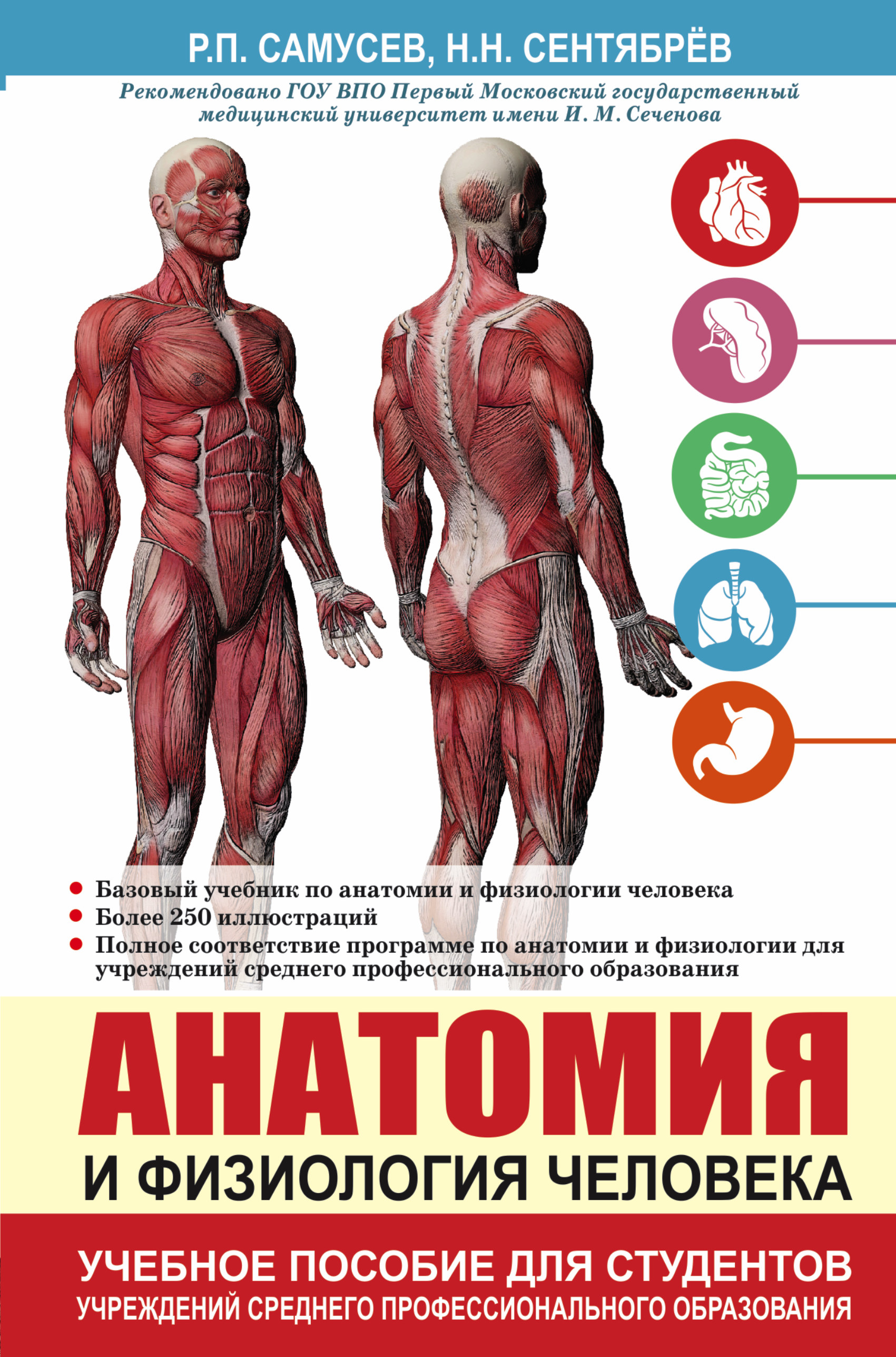 

Анатомия и Физиология Человека, Учебное пособие для Студентов Учреждений…