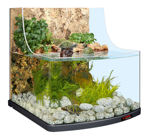 

Палюдариум для амфибий, членистоногих Sera BIOTOP REPTIL AQUA, 57 x 54,5 x 51 см, Террариум reptil aqua biotop, 80 л 32002