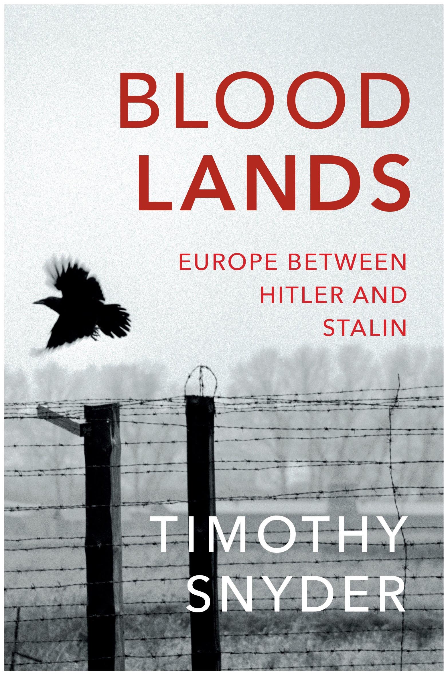 

Книга Random House Timothy Snyder "Bloodlands: Europe between Hitler and Stalin"
