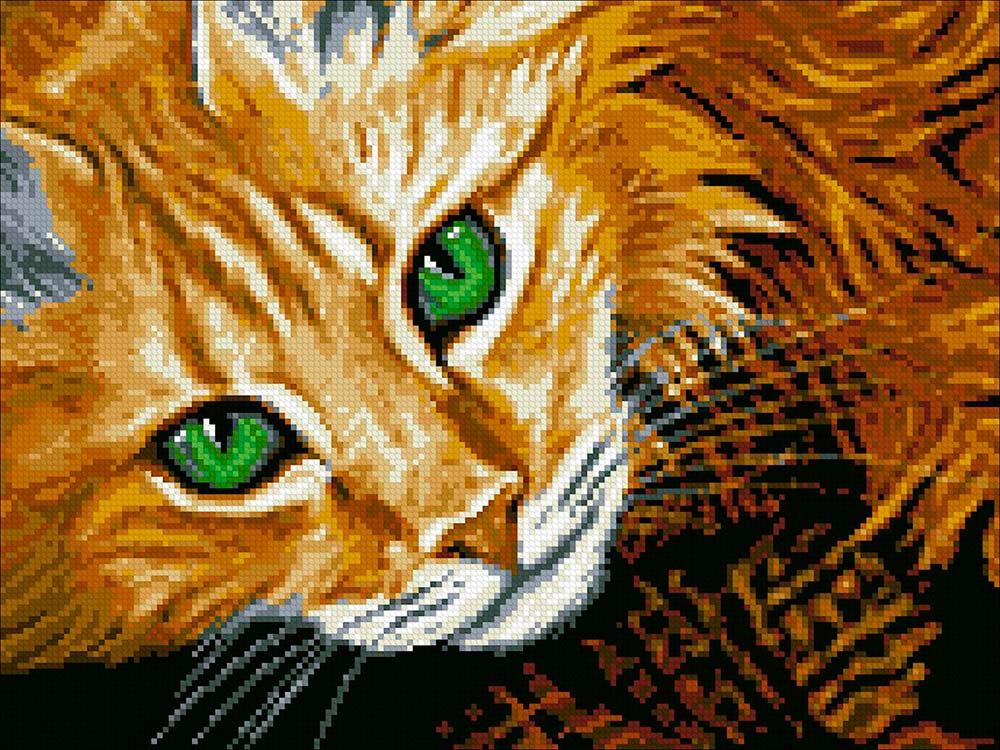 

Алмазная вышивка Паутинка Рыжий кот, 30x40 см, Рыжий кот