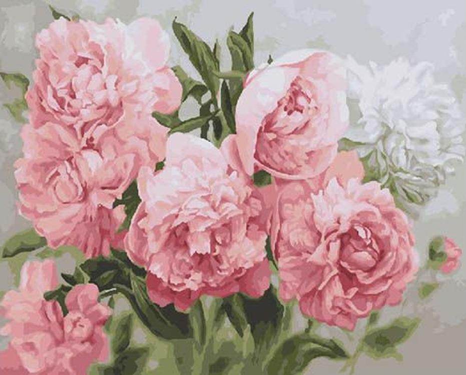 

Картина по номерам Paintboy Нежность пионов, 40x50, Нежность пионов