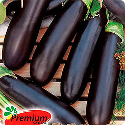 

Семена Баклажан Алешка F1, 0,05 г, Premium seeds, 188583