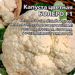 

Семена Капуста цветная Болеро F1, 0,15 г, Уральский дачник, 196151