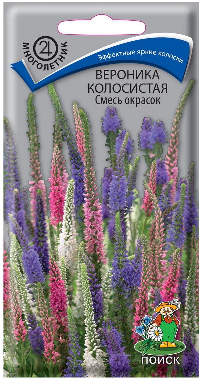 

Семена вероника Поиск колосистая смесь 211147 1 уп.