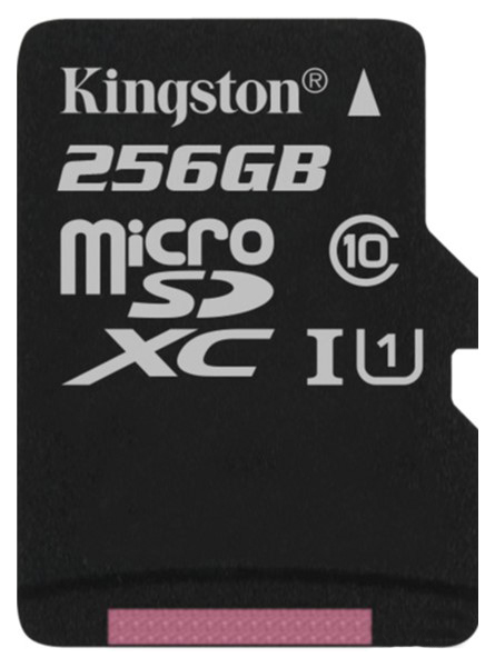 

Карта памяти Kingston Micro SDXC Canvas Select 256GB