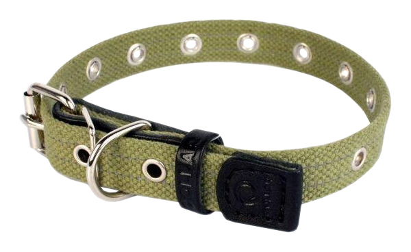 фото Ошейник для собак collar, брезентовый безразмерный, зеленый, 42 см x 20 мм
