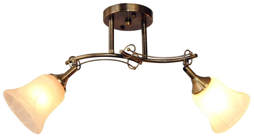 фото Потолочный светильник idlamp paolina 851/2pf-oldbronze