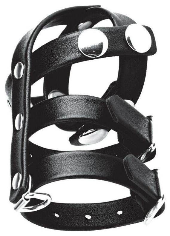 Генитальная сбруя BlueLine Double Cock And Ball Strap с поводком