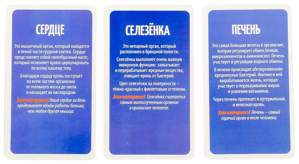 

Игра развивающая Как устроен человек ЛАС ИГРАС