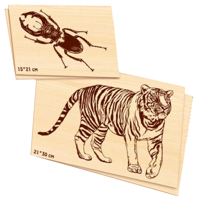Доски для выжигания Десятое Королевство жук, олень,тигр 01816ДК интерактивные доски и их использование в учебном процессе cd