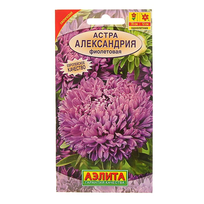 

Семена астра Аэлита Александрия Фиолетовая 90460 1 уп.