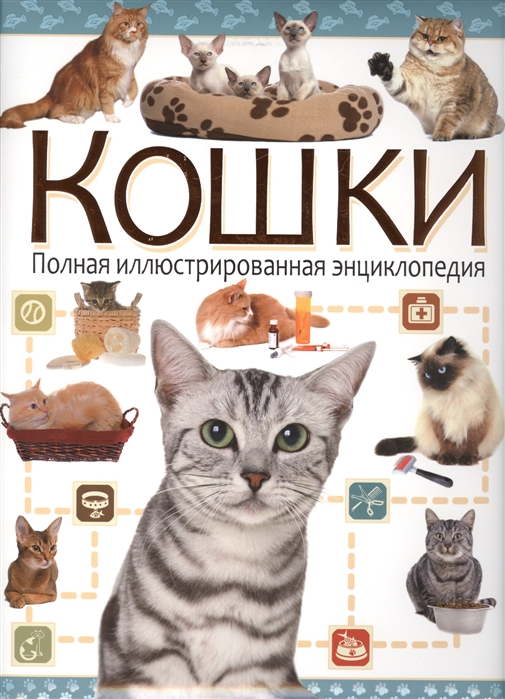 

Книга Кошки