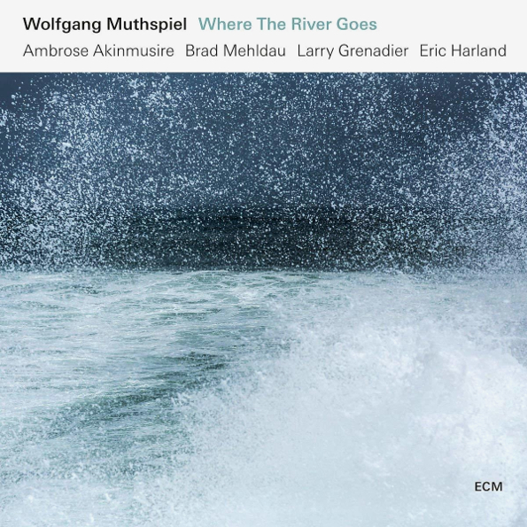 фото Аудио диск wolfgang muthspiel where the river goes (cd) медиа