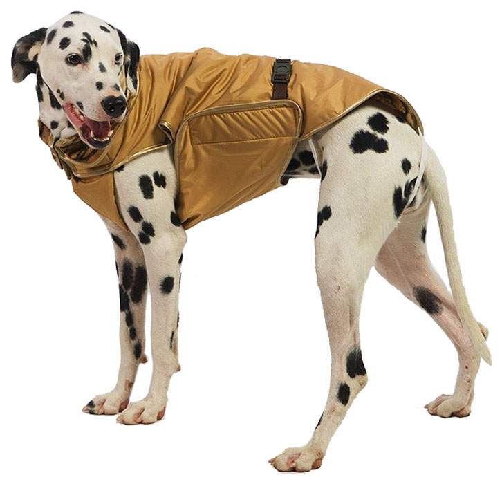 Попона для собак ТУЗИК размер XL унисекс, коричневый, длина спины 40 см