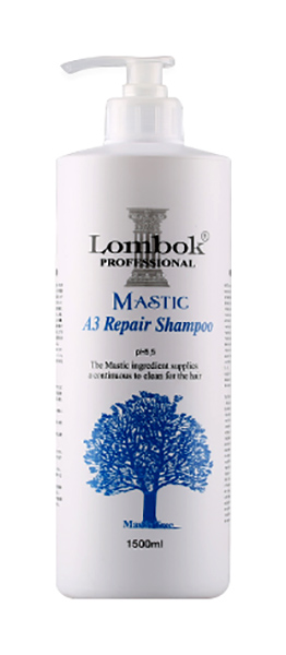 фото Шампунь gain cosmetics lombok mastic a3 shampoo 1,5 л