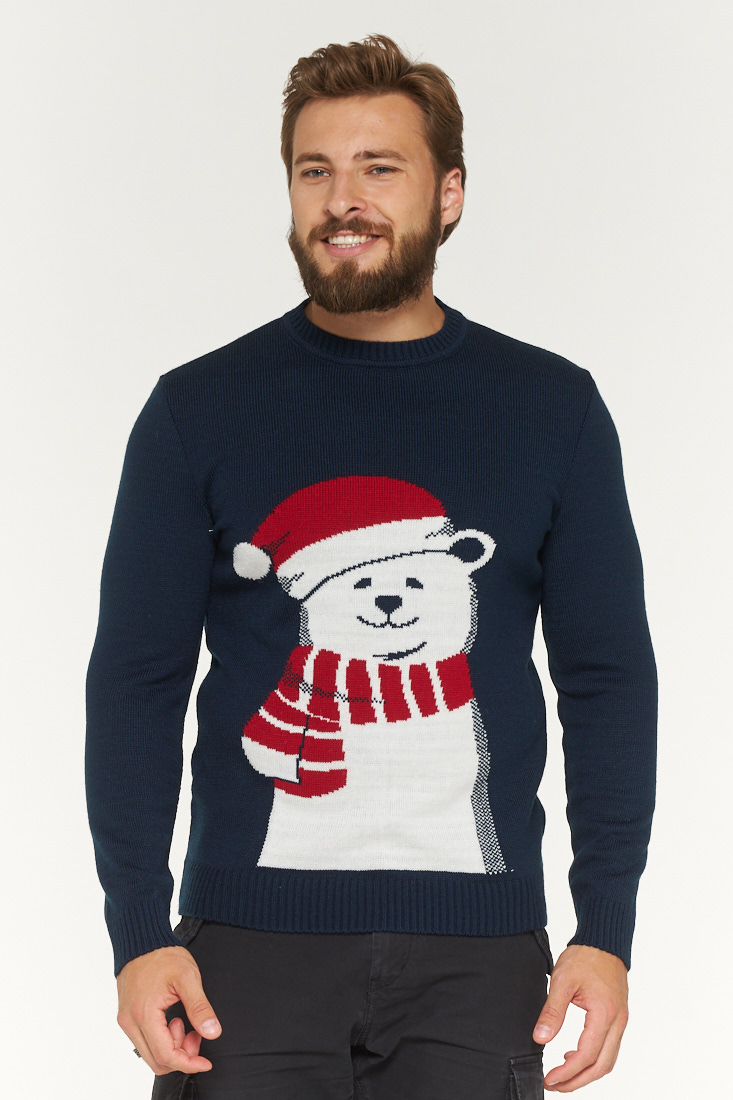 

Джемпер мужской 192-12225 VAY синий 46 RU, 192-12225