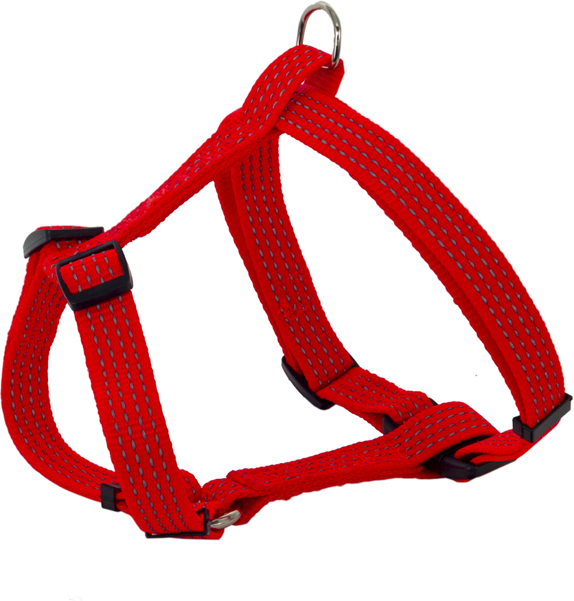 Шлейка Каскад Премиум нейлон светоотражающий красная для собак (15 мм (30/50 см), Красный)