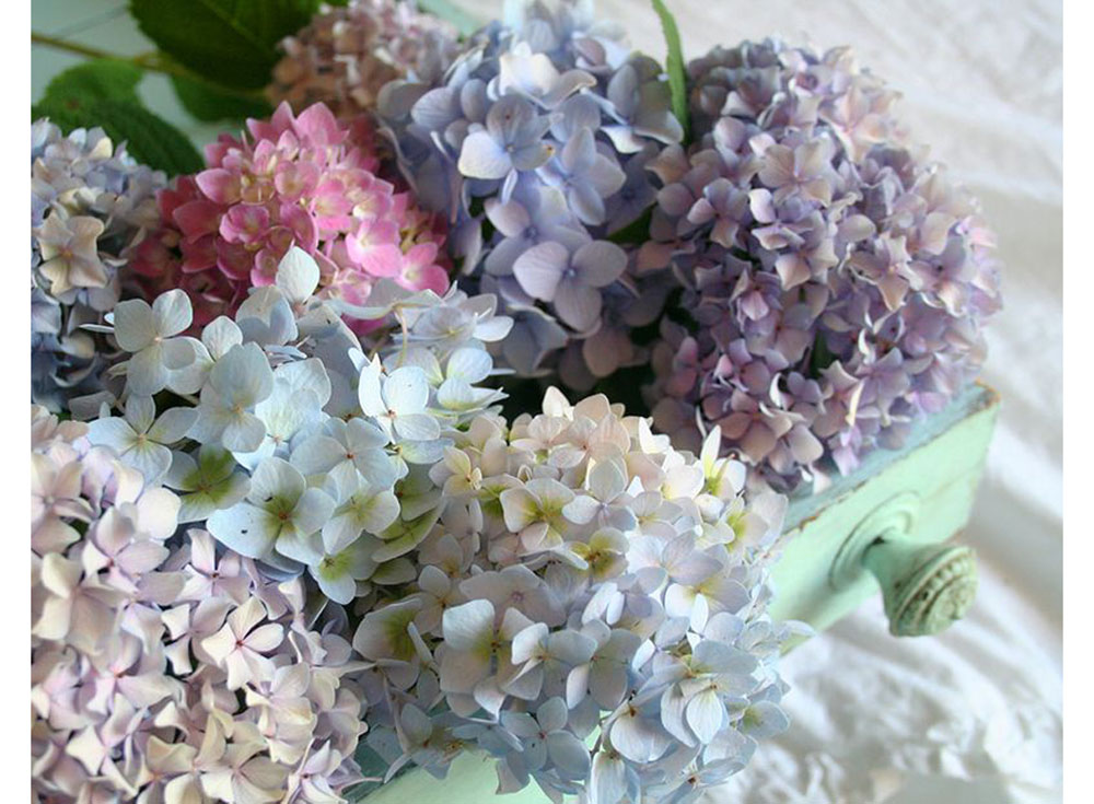 

Алмазная вышивка Яркие Грани Разноцветие, 50x39 см, Разноцветие