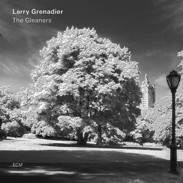 Larry Grenadier   The Gleaners (LP)