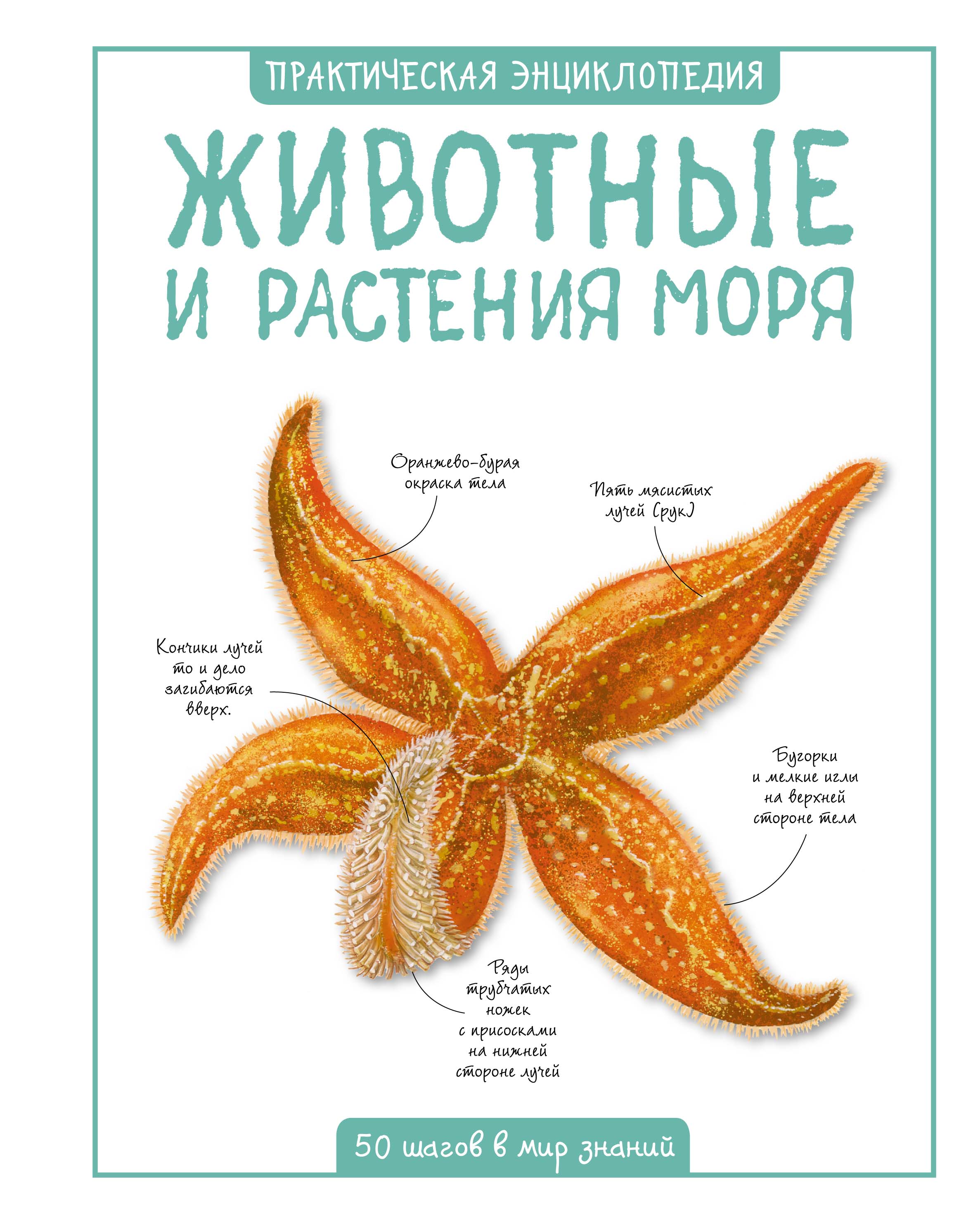 

Животные и Растения Моря