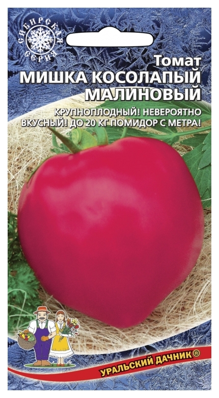 Помидоры мишка косолапый отзывы. Помидоры Уральский Дачник мишка косолапый. Томат мишка косолапый Уральский Дачник. Мишка косолапый малиновый Уральский Дачник. Томат мишка косолапый малиновый.