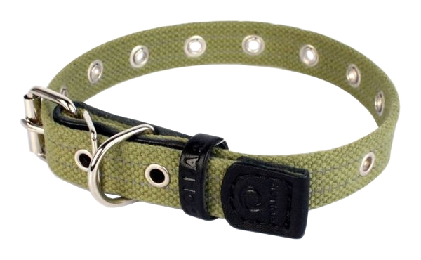 фото Ошейник для собак collar, брезентовый безразмерный, зеленый, 63 см x 35 мм