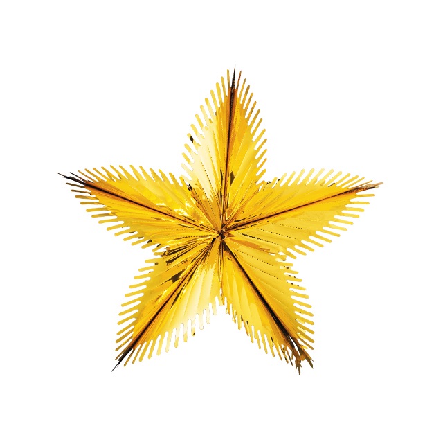 Подвесное украшение Holiday Classics Звезда из фольги полярная H241001G 60 см золотистый