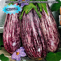

Семена Баклажан Заморский полосатик, 0,3 г, АЭЛИТА, 165006