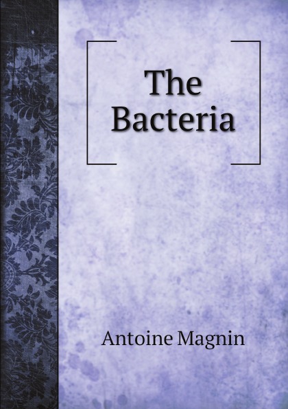

The Bacteria